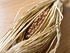 茨城県イメージ写真：藁巻き納豆